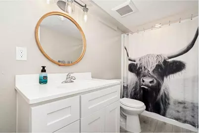 5259 Odessa Lake St, Timnath, CO 80547 - Photo 24