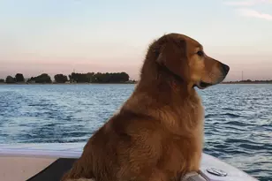 904 Engleman Pl, Loveland, CO 80538 - Photo 44