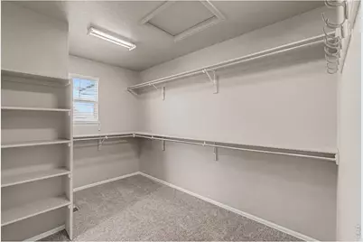 2145 Longfin Dr, Windsor, CO 80550 - Photo 32