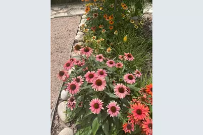 409 E 7th St, Loveland, CO 80537 - Photo 50