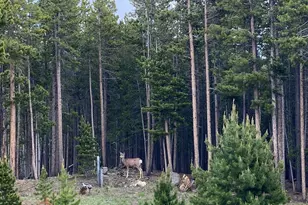 28 Valley View Ln, Evergreen, CO 80439 - Photo 32