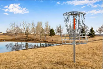 5728 Connor St, Timnath, CO 80547 - Photo 50