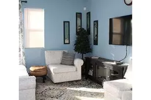 321 Graceland Grove, Colorado Springs, CO 80904 - Photo 42