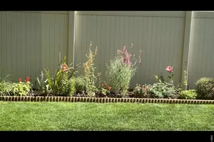 10450 Lower Ridge Rd, Longmont, CO 80504 - Photo 22