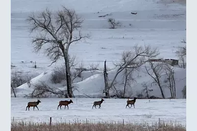 602 Charles St, Superior, CO 80027 - Photo 46