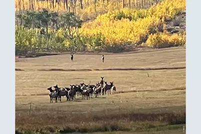 14884 Rist Canyon Rd, Bellvue, CO 80512 - Photo 6