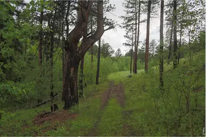 14884 Rist Canyon Rd, Bellvue, CO 80512 - Photo 36