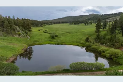 14884 Rist Canyon Rd, Bellvue, CO 80512 - Photo 4