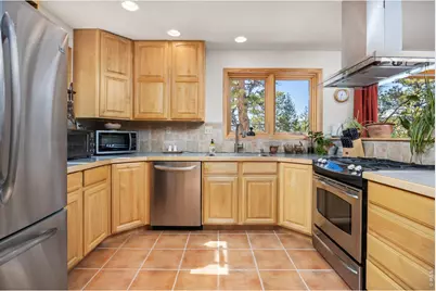 253 Alpine Dr, Nederland, CO 80466 - Photo 6