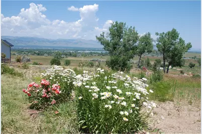 7233 Spring Ct, Boulder, CO 80303 - Photo 12