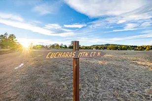 120 N Cucharas Mountain Ct, Livermore, CO 80536 - Photo 1