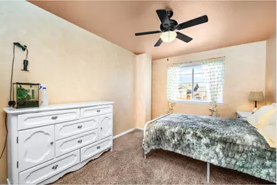 368 Mt Bross Ave, Severance, CO 80550 - Photo 28