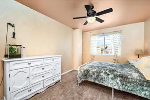 368 Mount Bross Ave, Severance, CO 80550 - Photo 28