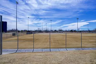 3387 Firewater Ln, Wellington, CO 80549 - Photo 38