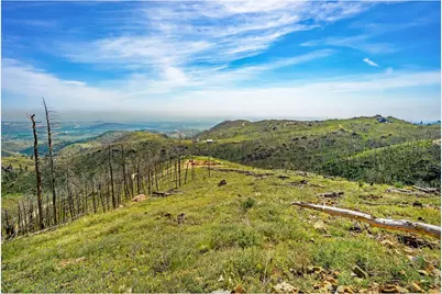 1600 Whale Rock Rd, Bellvue, CO 80512 - Photo 10