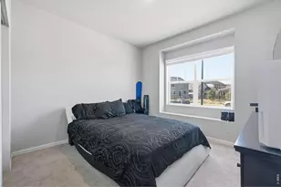 16736 Chilton Dr, Mead, CO 80542 - Photo 30