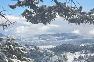 39 Mt Sherman Ct, Livermore, CO 80536 - Photo 46