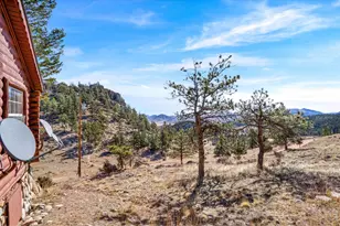 39 Mt Sherman Ct, Livermore, CO 80536 - Photo 32