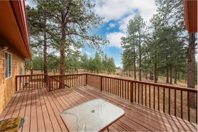 440 La Hermosa Dr, Bellvue, CO 80512 - Photo 18