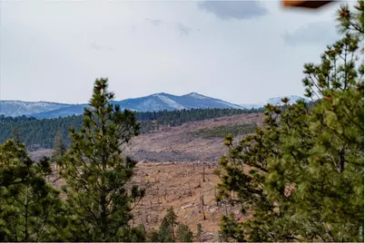 440 La Hermosa Dr, Bellvue, CO 80512 - Photo 20