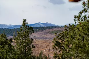 440 La Hermosa Dr, Bellvue, CO 80512 - Photo 20