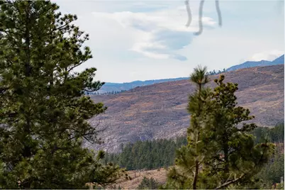 440 La Hermosa Dr, Bellvue, CO 80512 - Photo 48