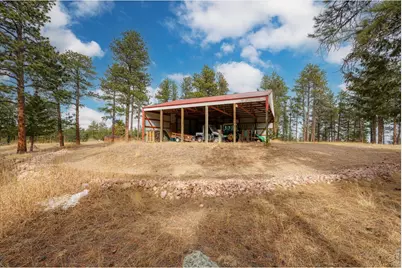 440 La Hermosa Dr, Bellvue, CO 80512 - Photo 42