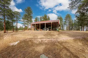 440 La Hermosa Dr, Bellvue, CO 80512 - Photo 42