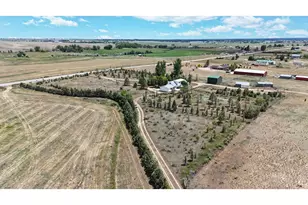 6485 N County Rd 19, Fort Collins, CO 80524 - Photo 4