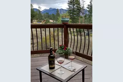 895 Elk Meadow Ct, Estes Park, CO 80517 - Photo 40