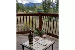 895 Elk Meadow Ct, Estes Park, CO 80517 - Photo 40