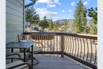 895 Elk Meadow Ct, Estes Park, CO 80517 - Photo 38