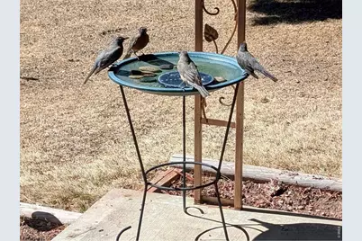 11575 Ingalls St, Westminster, CO 80020 - Photo 6