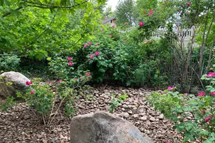 2335 Brendy Ct, Longmont, CO 80503 - Photo 44