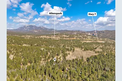 251 Haugen Slide Rd, Allenspark, CO 80510 - Photo 36