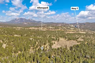 251 Haugen Slide Rd, Allenspark, CO 80510 - Photo 36