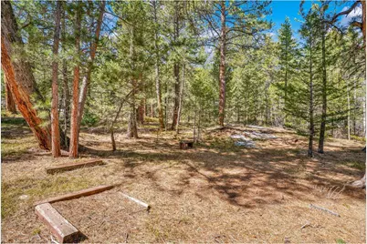 251 Haugen Slide Rd, Allenspark, CO 80510 - Photo 42