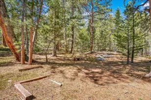 251 Haugen Slide Rd, Allenspark, CO 80510 - Photo 42