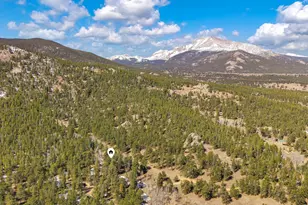 251 Haugen Slide Rd, Allenspark, CO 80510 - Photo 38