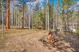 251 Haugen Slide Rd, Allenspark, CO 80510 - Photo 10