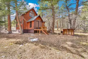 251 Haugen Slide Rd, Allenspark, CO 80510 - Photo 10