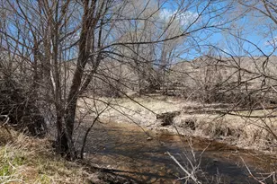 10723 Buckhorn Ridge Way, Loveland, CO 80538 - Photo 48