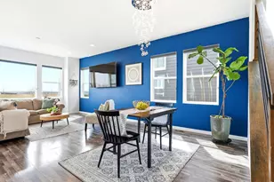 17464 Olive St, Broomfield, CO 80023 - Photo 14