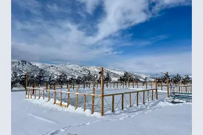 4750 S County Road 29, Loveland, CO 80537 - Photo 46