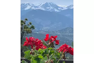 1810 Moss Rock Dr, Estes Park, CO 80517 - Photo 28