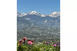 1810 Moss Rock Dr, Estes Park, CO 80517 - Photo 2