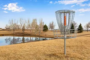 5728 Connor St, Timnath, CO 80547 - Photo 50