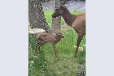 300 Far View Dr #15, Estes Park, CO 80517 - Photo 38