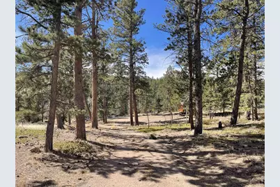 4347 N County Road 73C, Red Feather Lakes, CO 80545 - Photo 2