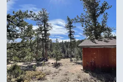 4347 N County Road 73C, Red Feather Lakes, CO 80545 - Photo 26